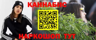 прущие крисы Малгобек