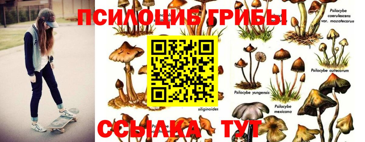 Якутск  Псилоцибиновые грибы MAGIC MUSHROOMS  Галлюциногенные грибы Magic Shrooms  даркнет сайт  Вход с VPN 